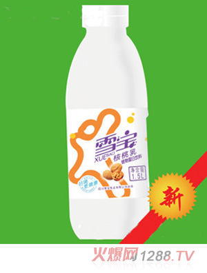 ѩ��������