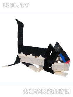 ���胺ͯ���DSCF4625