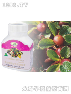 �İ�����Խݮ�z��