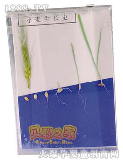 ؐС�����L(zh��ng)ʷ�̾�