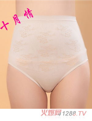 ʮ����o�p�ЋD��(n��i)ѝ