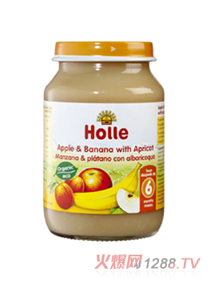 Holle�ЙC(j��)�O���㽶���Ӹ���