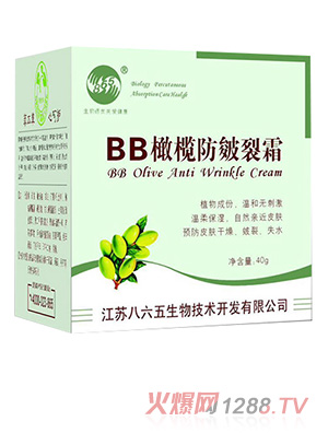 ������BB�ϙ������˪