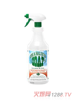 Charlies����N�l(w��i)�坍��