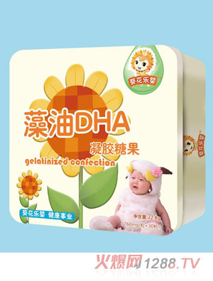 ������������DHA���z�ǹ�