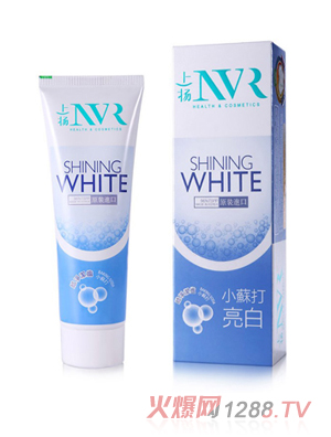 �ϓP(y��ng)NVR�����X����