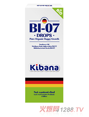 �ɰż{������-���p��U��Bi-07