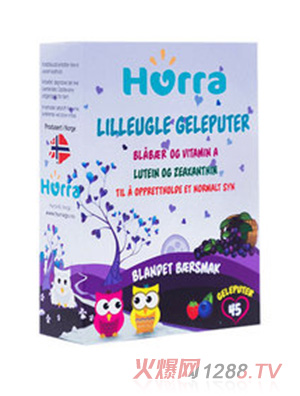 Hurra兒童藍莓葉黃素小布丁