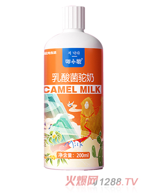 ��С���������