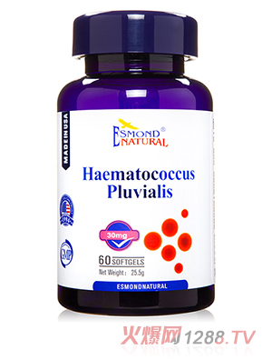 ��˾���������t����