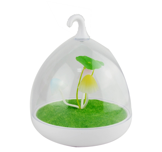  �����ų��Ģ���B�\��